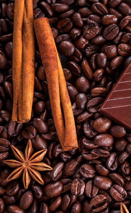 Café & canelle